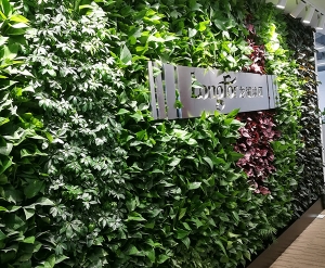 绿植墙