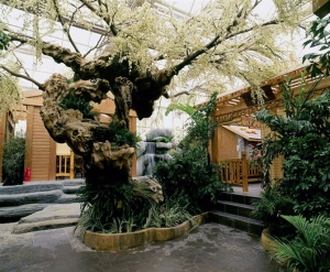 长春仿真植物