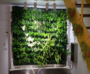 大连仿真植物墙