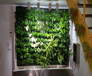 私家植物墙装修
