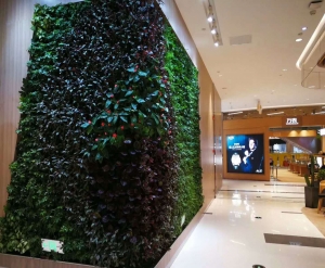 植物墙