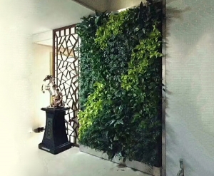 大连植物墙