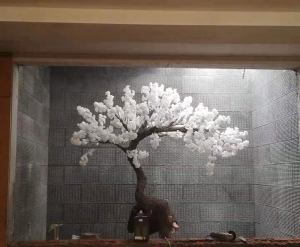 大连水幕墙 樱花树