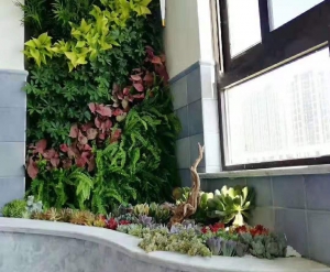 大连立体绿化