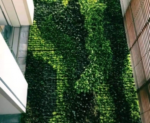 大连绿植墙