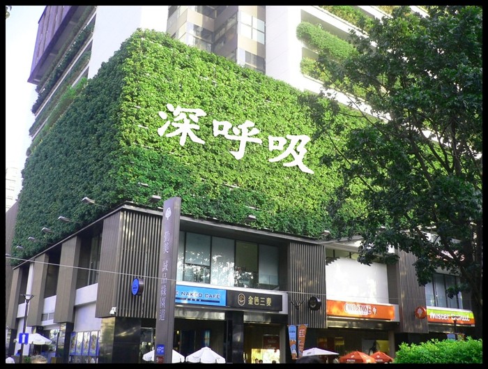 立体绿化